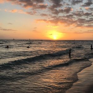 Meet your Posher, Karina